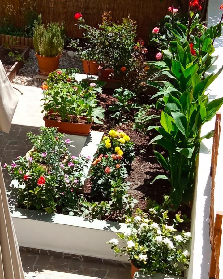 Charming Garden Apartment Rhodes City Oda fotoğraf